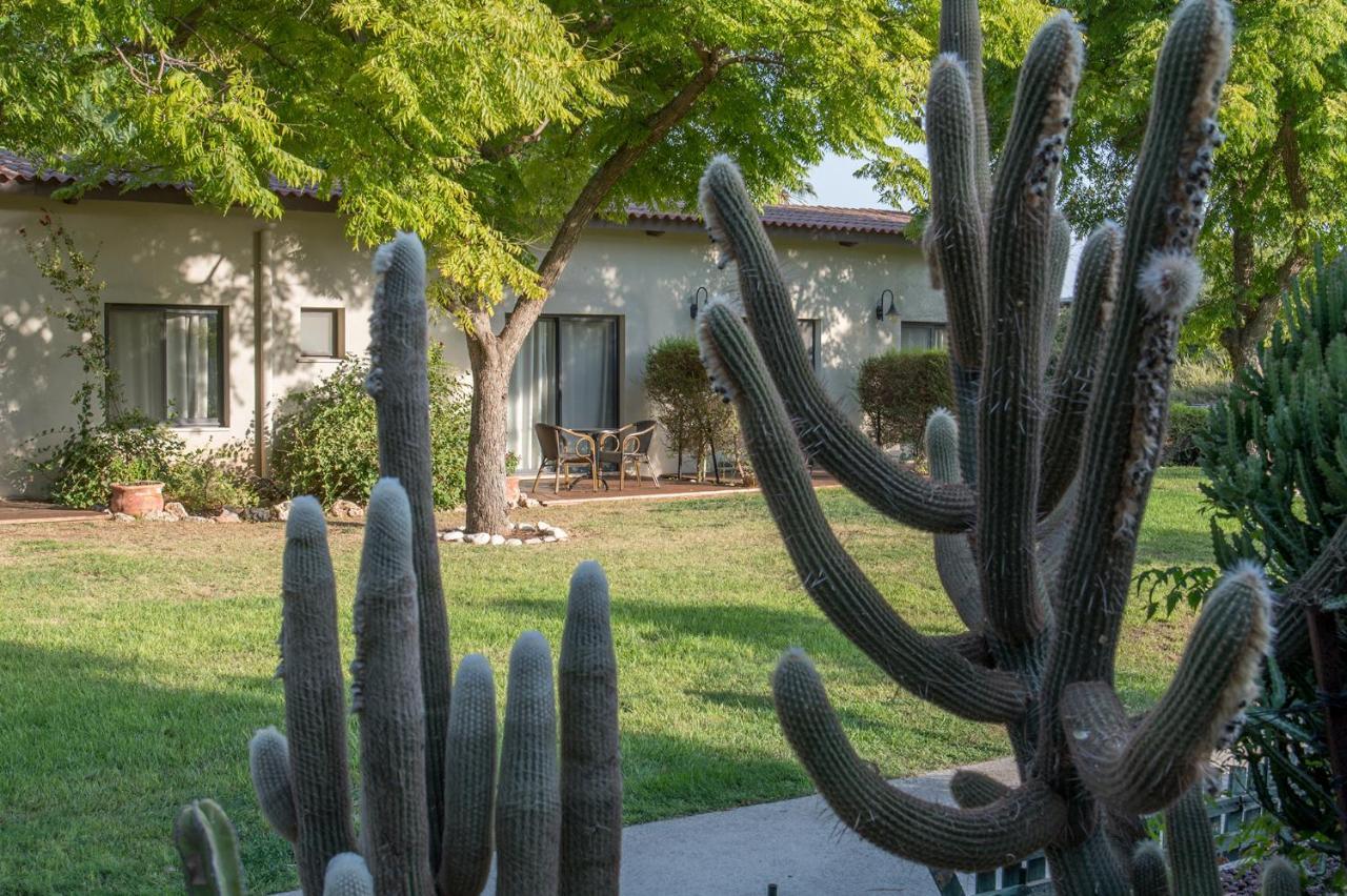 Degania Bet Kibbutz Country Lodging Hotel Kinneret Kültér fotó